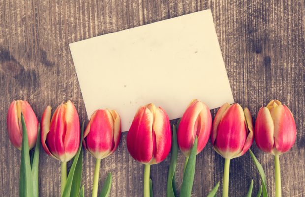 Feel Good Story: 104 Year Old Veteran Receives 70,000 Valentine’s Day Cards