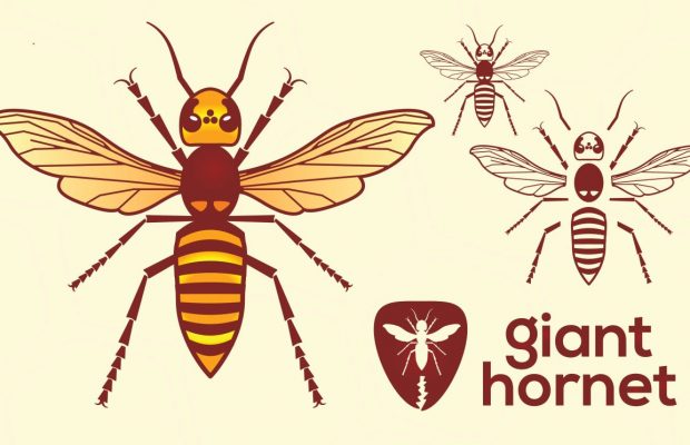 Youtuber, King of Sting, Coyote Peterson lets a murder hornet sting him…on purpose!