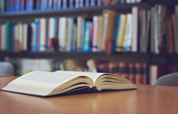 Have you see the video for the Nashville Public Library?  Curb Side Baby?