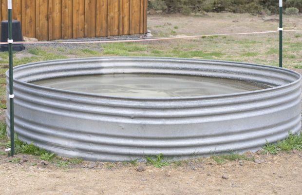 The newest trend in summer cool! The newest trend in summer cool!