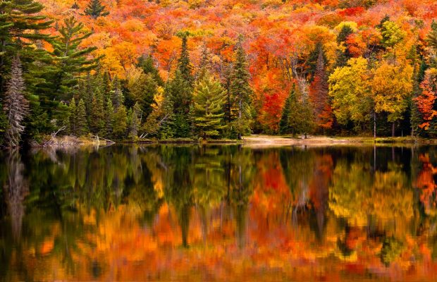 What we love about Fall