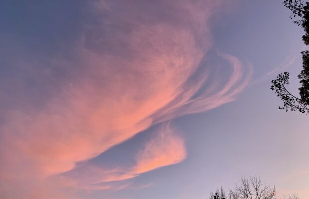 2021, REST! 2021, REST!