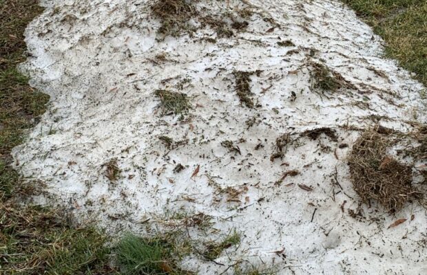 Was That Snow Real? Was That Snow Real?