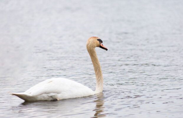 An unlikely 37 year friendship An unlikely 37 year friendship