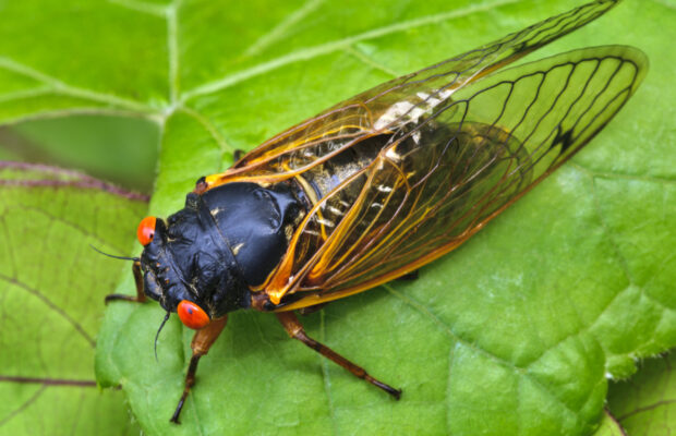 Are you ready for a LOUD May? Are you ready for a LOUD May?