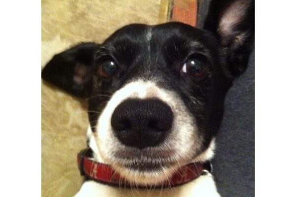 It’s so hard to say goodbye It’s so hard to say goodbye