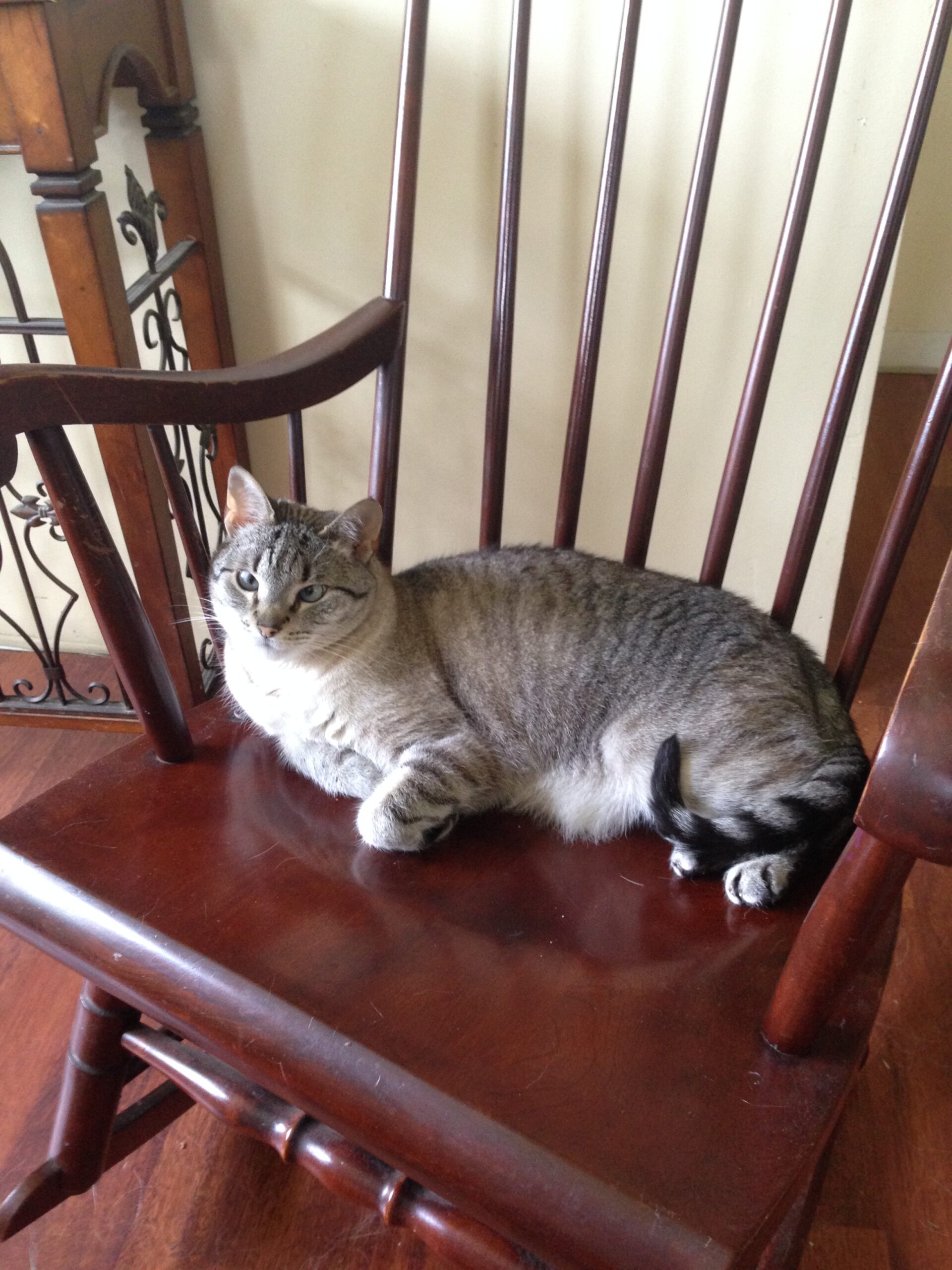 Old Rocking Chairs | The Beaver FM