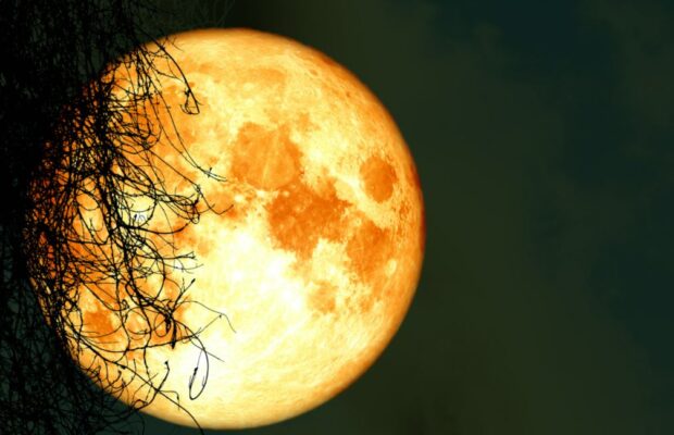 Harvest Moon, Tonight! Harvest Moon, Tonight!