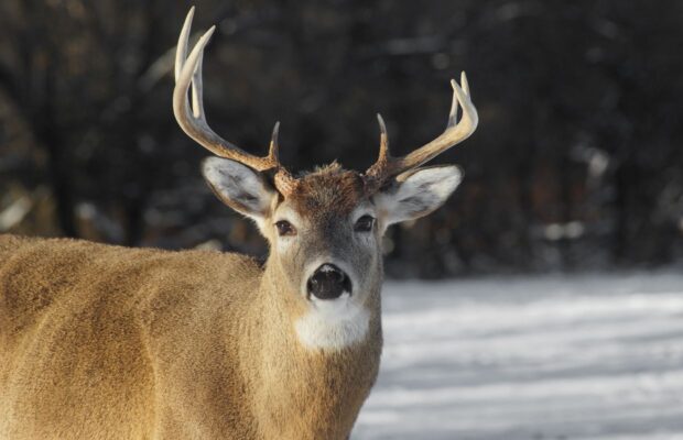 I Give That Church 10 Points