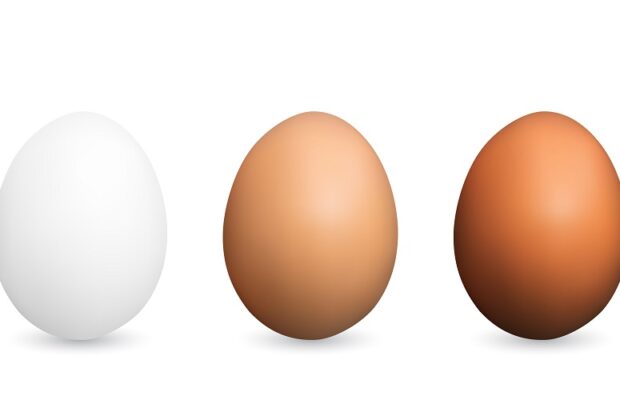 New TikTok Challenge! Can YOU peel a raw egg??? New TikTok Challenge! Can YOU peel a raw egg???