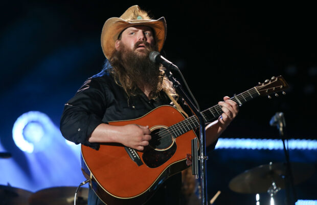 Pilgrimage Music Festival in Franklin! Pilgrimage Music Festival in Franklin!