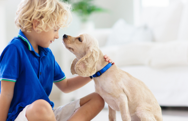 7 year old Hopkinsville boy raises money for local Animal Shelter