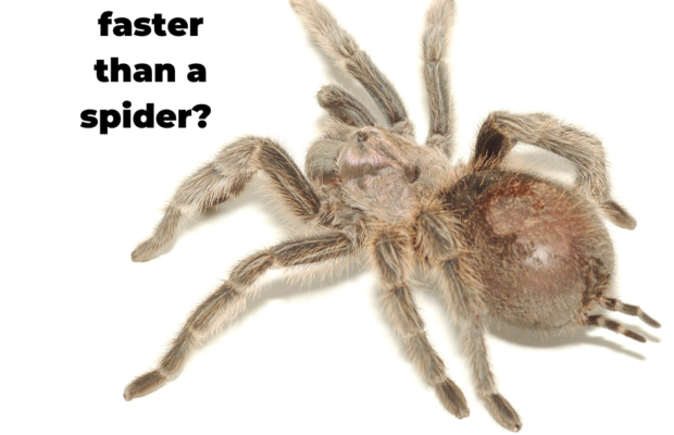 If you are running from these dangerous things, good news, you’re faster!