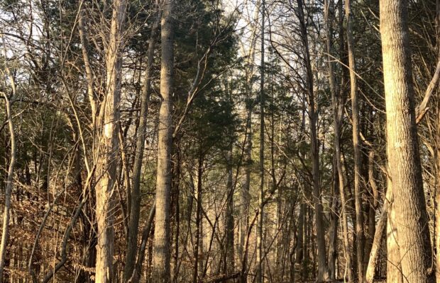 Clarksville’s Hiking Trails Clarksville’s Hiking Trails