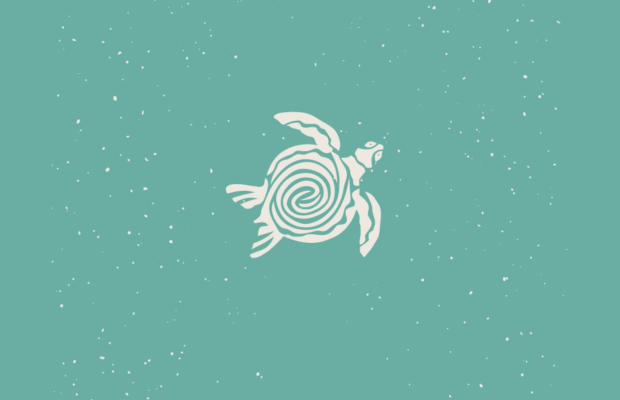 What kind of sea creature is this?
