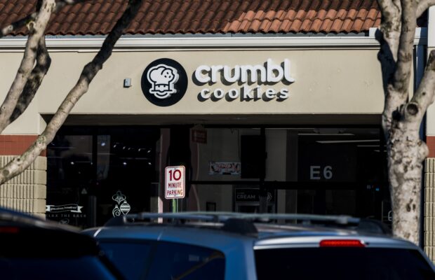 Are THESE the BEST COOKIES in Beaver Country? Are THESE the BEST COOKIES in Beaver Country?