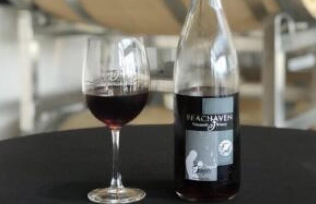 Beachaven Takes the GOLD Beachaven Takes the GOLD