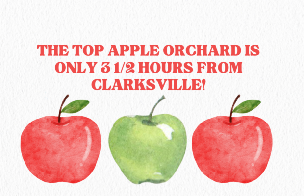 The top Apple Orchard is about 3 1\2 hours from Clarksville