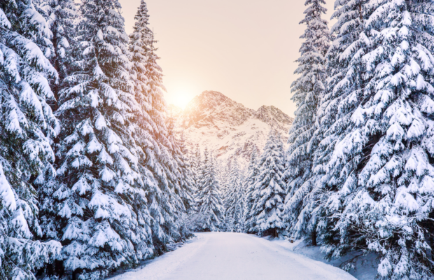 Did you ever wonder who Parson Brown is in the song “Winter Wonderland?” Did you ever wonder who Parson Brown is in the song “Winter Wonderland?”